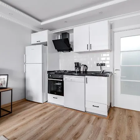 公寓 Modern Sisli Flat - High-speed Wi-fi Elevator 伊斯坦布尔